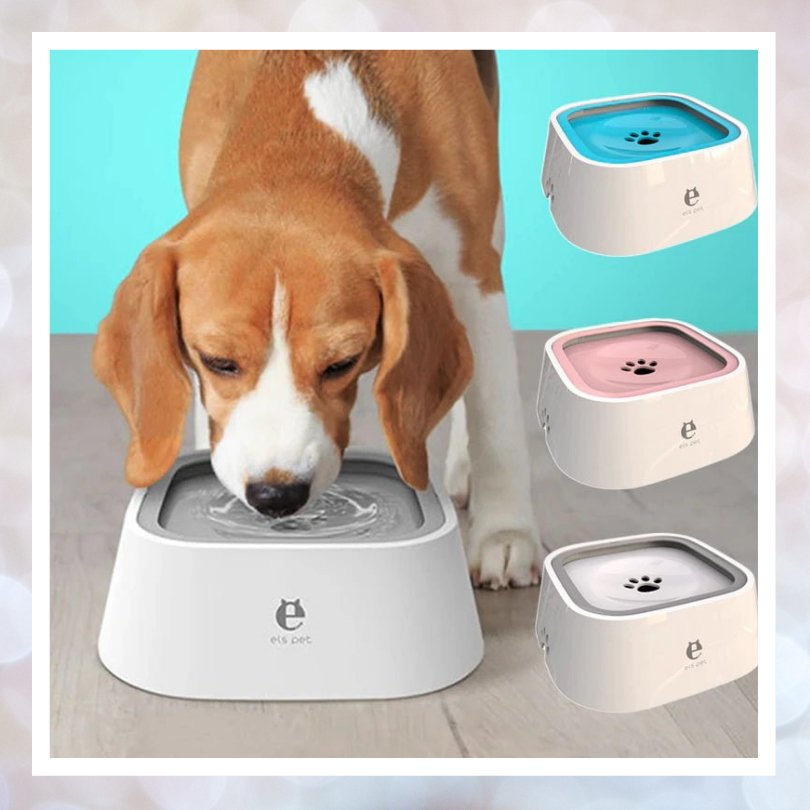 Anti-Spill Floating Dog Water Bowl - Gift Ideas 4 You