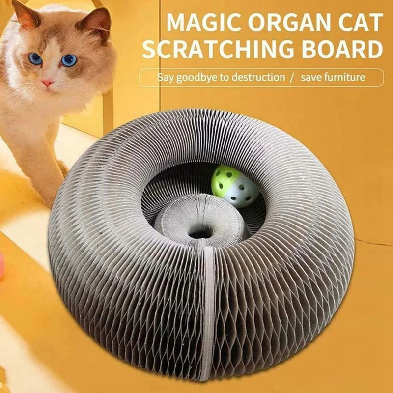 Magic Organ Cat Scratching Toy - Gift Ideas 4 You