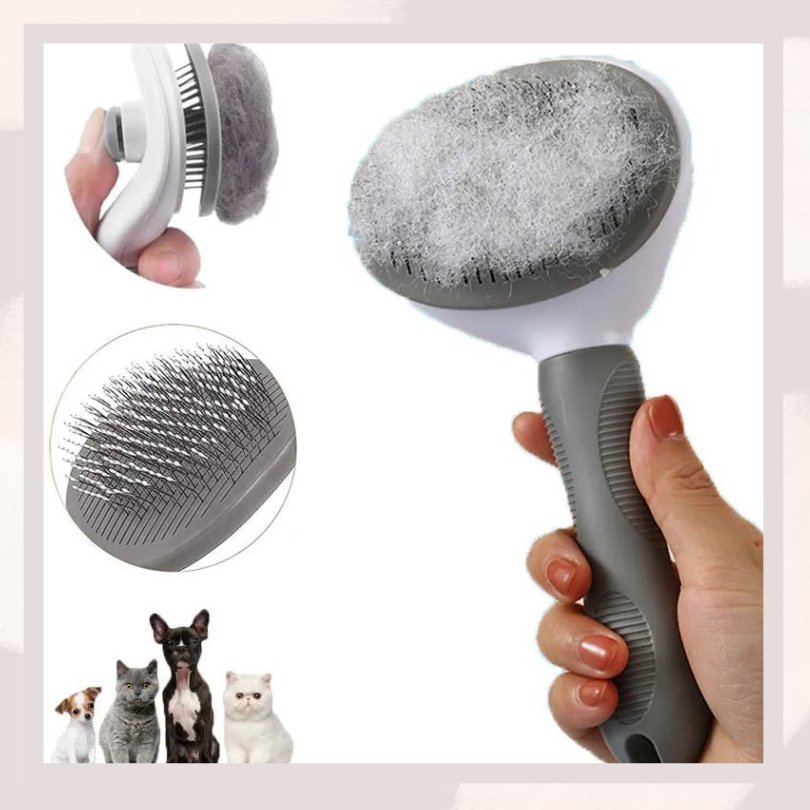 Pet Hair Remover Brush - Gift Ideas 4 You