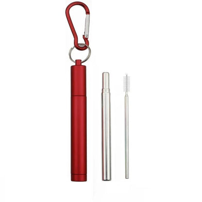 Reusable Stainless Steel Adjustable Straw with Cleaning Brush & Case - Gift Ideas 4 You