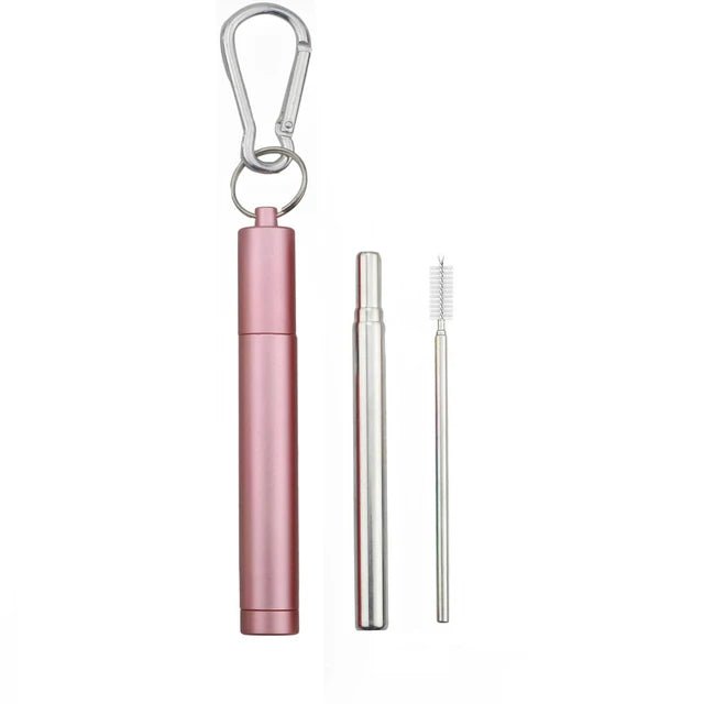 Reusable Stainless Steel Adjustable Straw with Cleaning Brush & Case - Gift Ideas 4 You