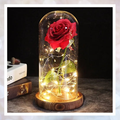 Valentines Day - Beauty and the Beast Rose - Gift Ideas 4 You